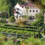 Schloss Trauttmansdorff in Meran