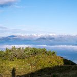 Blick zur Ortlergruppe vom Roen