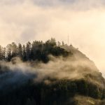 Nebel auf dem Paterkopf