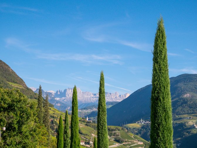 Blick auf den Rosengarten vom Ende der Oswaldpromenade aus gesehen