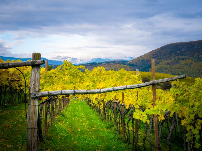 Pergola im Herbst - abgelichtet im Bärental