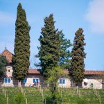 Weinberg Kastelaz in Tramin