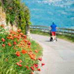 Spaziergang Runggnerweg