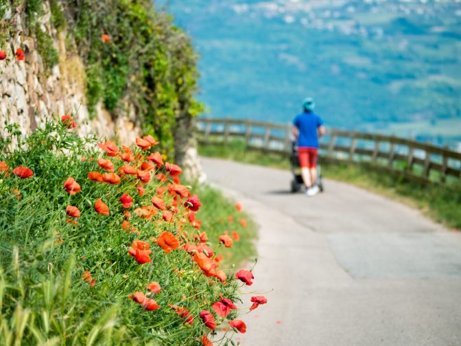 Spaziergang Runggnerweg