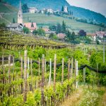 Ausblick Brenntalweg