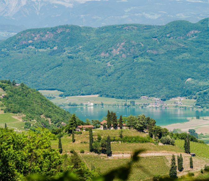 Weinberg Kastelaz mit Kalterer See