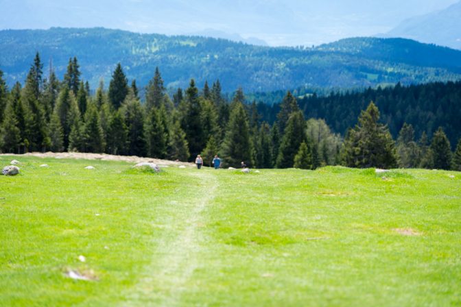 Almweg zu den Stoanernen Mandln