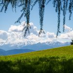 Blick vom Tschöggelberg zur Ortlergruppe