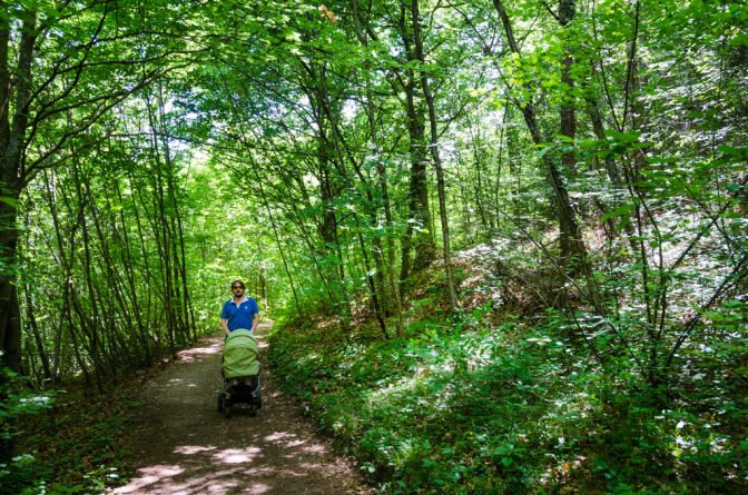 Wanderweg Nr. 11 in Altenburg/Kaltern