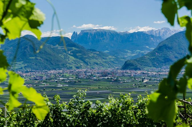 Blick durch die Weinberge Missians nach Bozen mit Schlern und Rosengarten