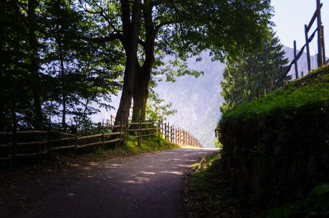 Vom Fennberger See in Richtung Weinhof "Hofstatt"