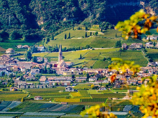 Das herbstliche Tramin