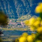 Tramin im Herbst