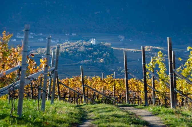 Blick durch die Weinberg im Spätherbst hinüber nach Eppan zur Gleifkirche