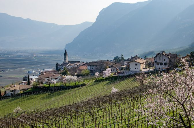 Kurtatsch im Frühling