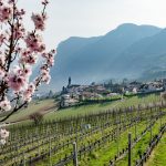 Kurtatsch im Frühling