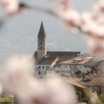 Kurtatsch im Frühling