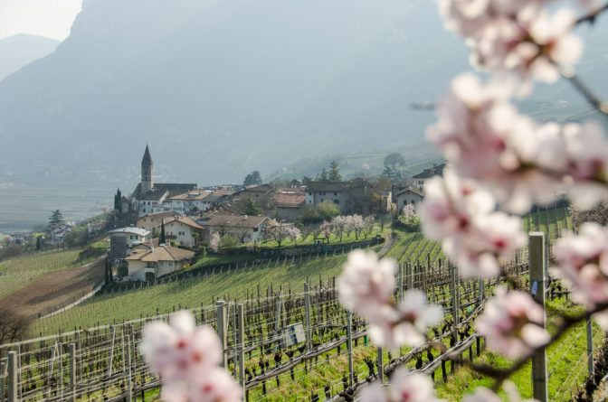 Kurtatsch im Frühling