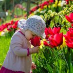 Anna und die Tulpen