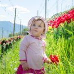 Anna und die Tulpen