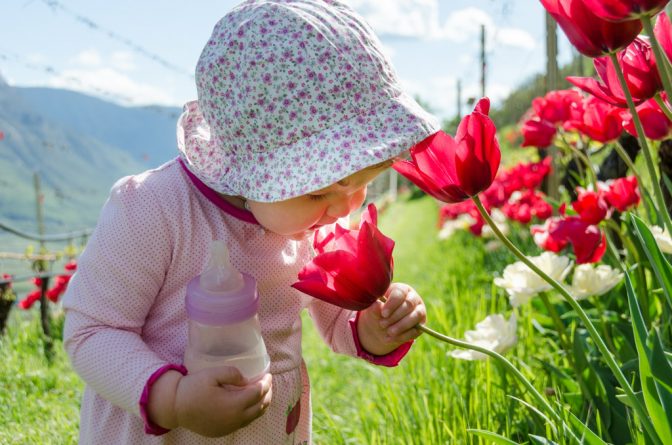 Anna und die Tulpen