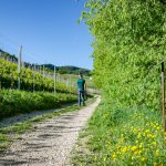 Naturerlebnisweg Tramin