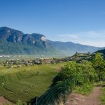 Naturerlebnisweg Tramin