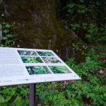 Informationstafel Naturerlebnisweg Tramin