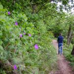 Naturerlebnisweg Tramin