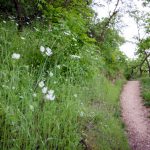 Naturerlebnisweg Tramin