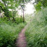 Naturerlebnisweg Tramin