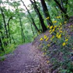 Naturerlebnisweg Tramin