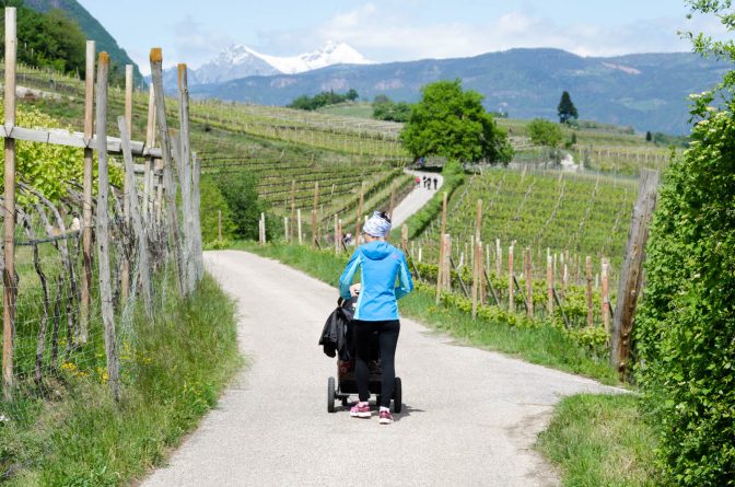 Kinderwagen tauglicher Spazierweg von St. Josef am See nach Kaltern Dorf