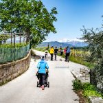 Kinderwagen tauglicher Spazierweg