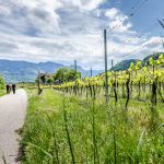 Spazierweg zwischen St. Josef am See und Kaltern