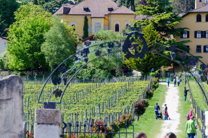 Weinlehrpfad Castel Sallegg Kaltern