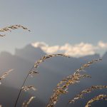 Sonnenaufgang Dolomiten