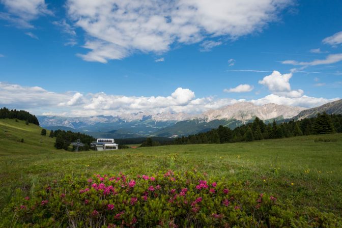 Rosengarten- und Latemarblick