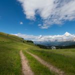 Blick zum Latemar und Rosengarten