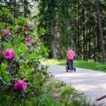 Alpenrosen mit Kinderwagen