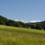 wandern am Jochgrimm