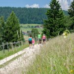 Wanderweg zum Karersee