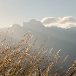 Sonnenaufgang Rosengartenspitze