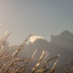 Sonnenaufgang Dolomiten