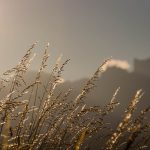 Sonnenaufgang Dolomiten