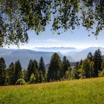 Ausblick vom Rainguthof Richtung Rosengarten