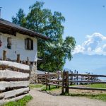 Tierwelt Rainguthof