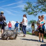 Anni, Irene in der Tierwelt Rainguthof