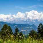 Ausblick Tierwelt Rainguthof