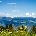 Ausblick Tierwelt Rainguthof